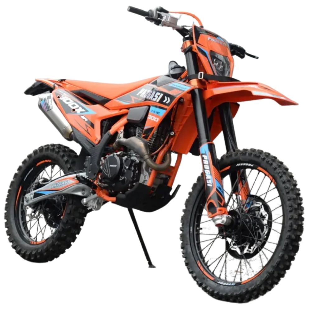  Endurance 300X EFI