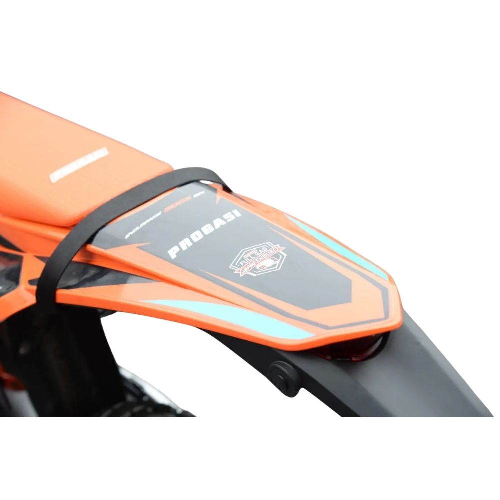  Endurance 300X EFI