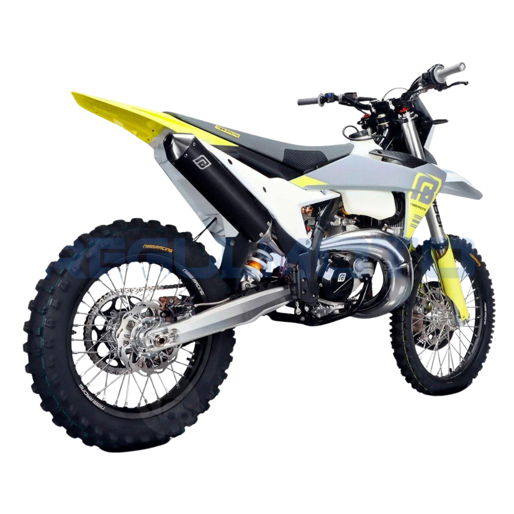 Мотоцикл Regulmoto NIBBI TE N300-SR 2T — фото 5