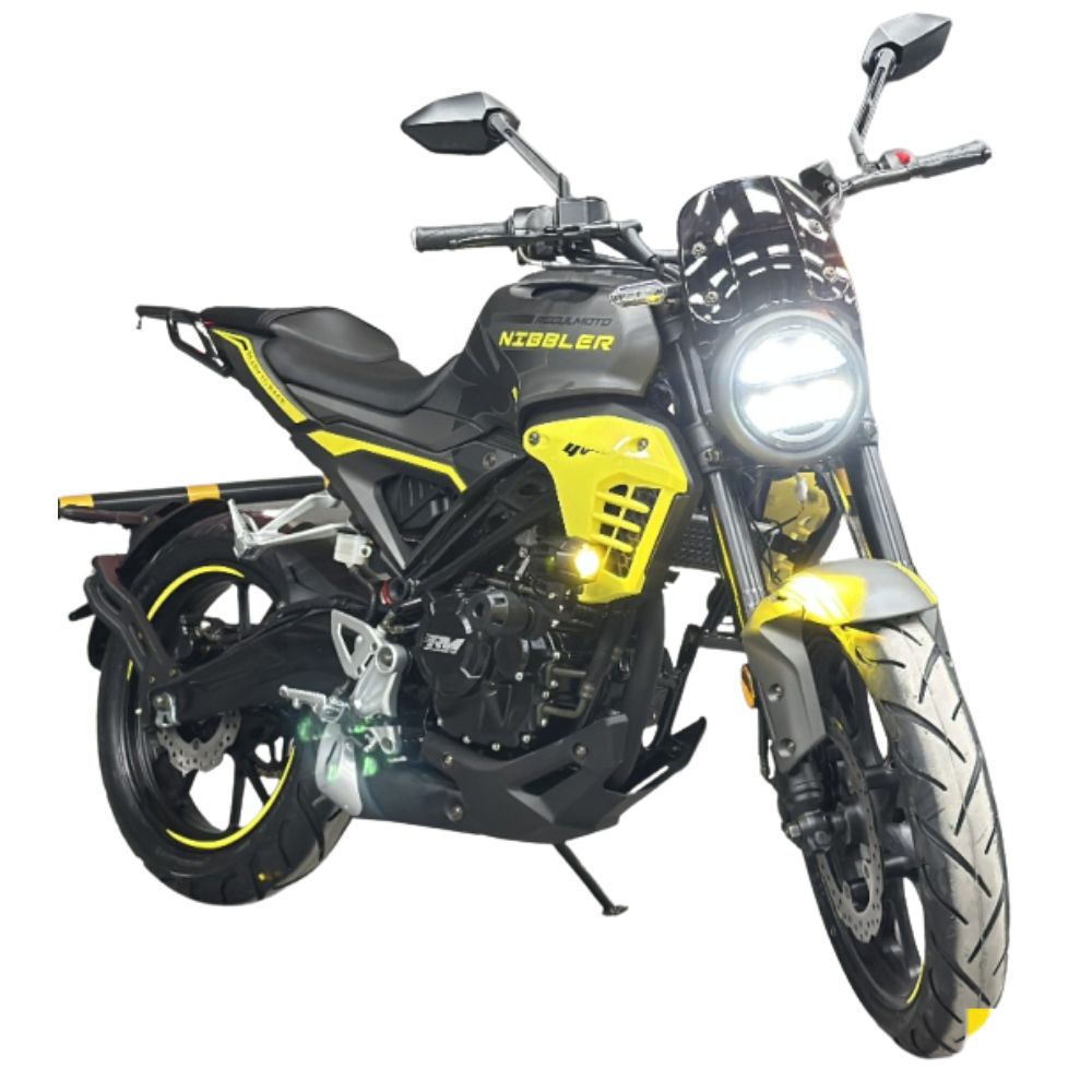 Мотоцикл Regulmoto Nibbler 300 — фото 2