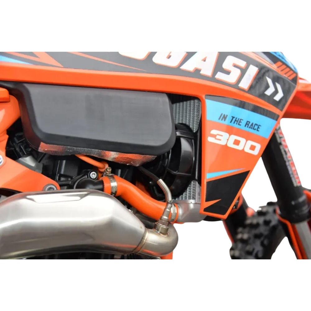 Endurance 300 EFI