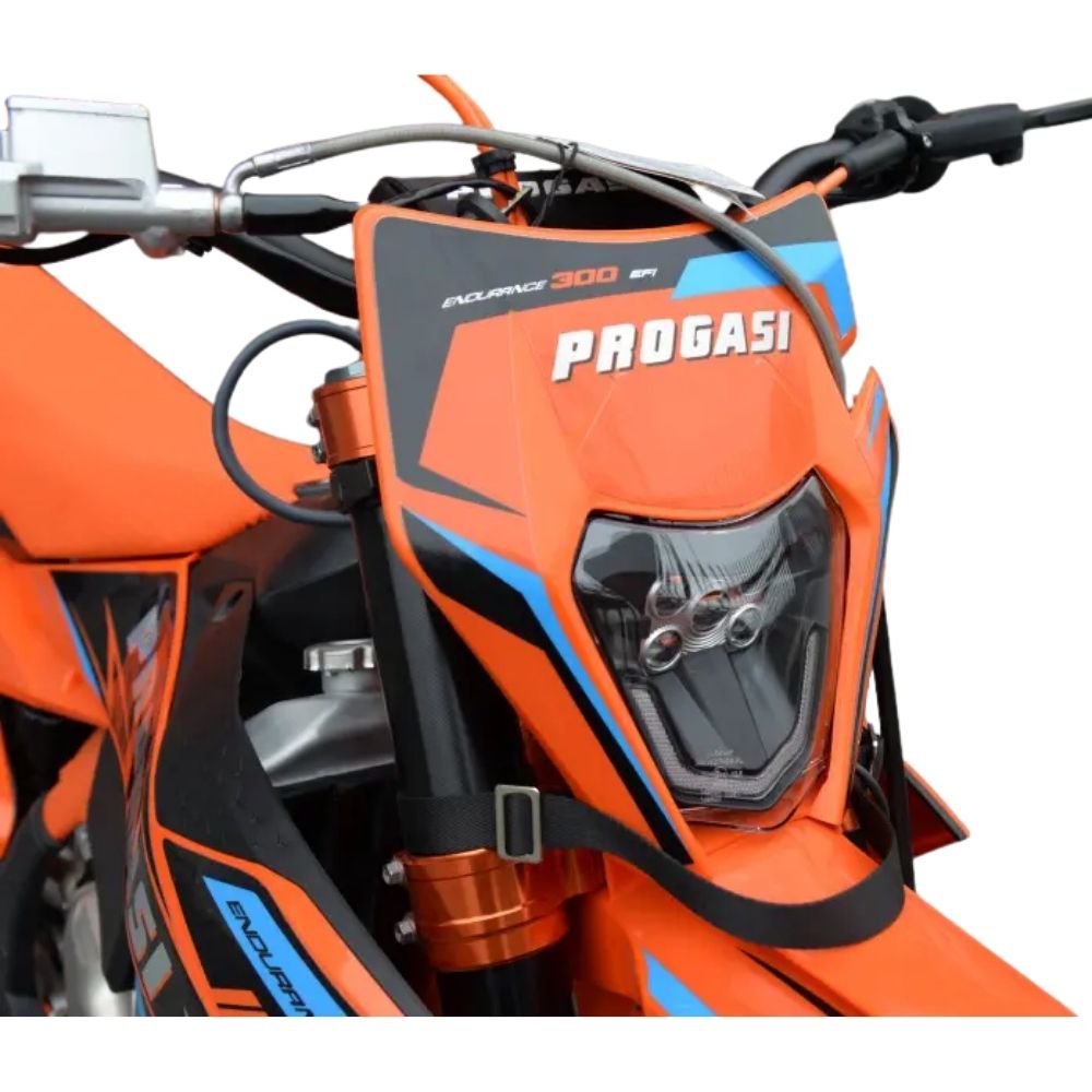  Endurance 300 EFI