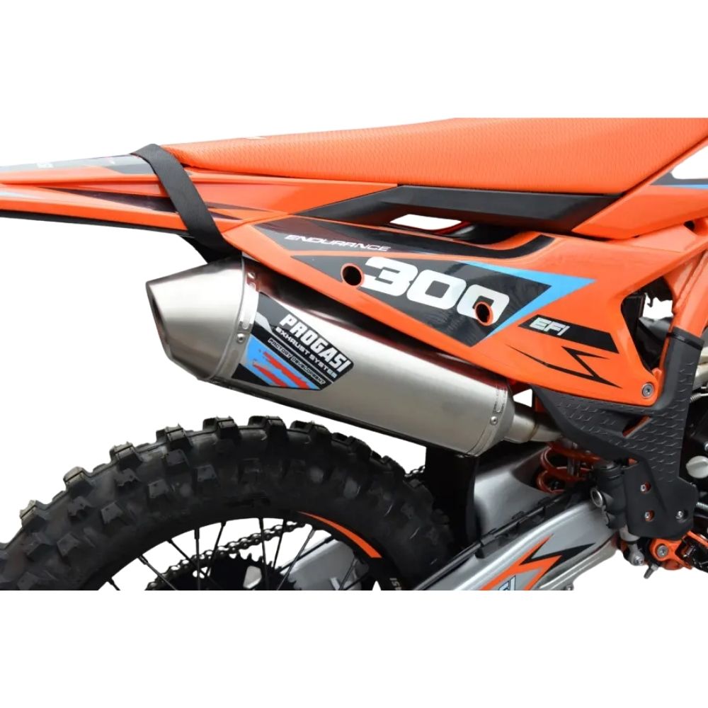  Endurance 300 EFI