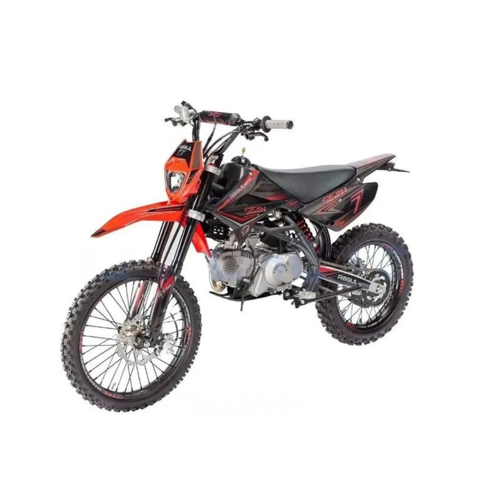 Питбайк Regulmoto SEVEN MEDALIST PRO 19/16 — купить в Минске | ENDUROMOTO.BY
