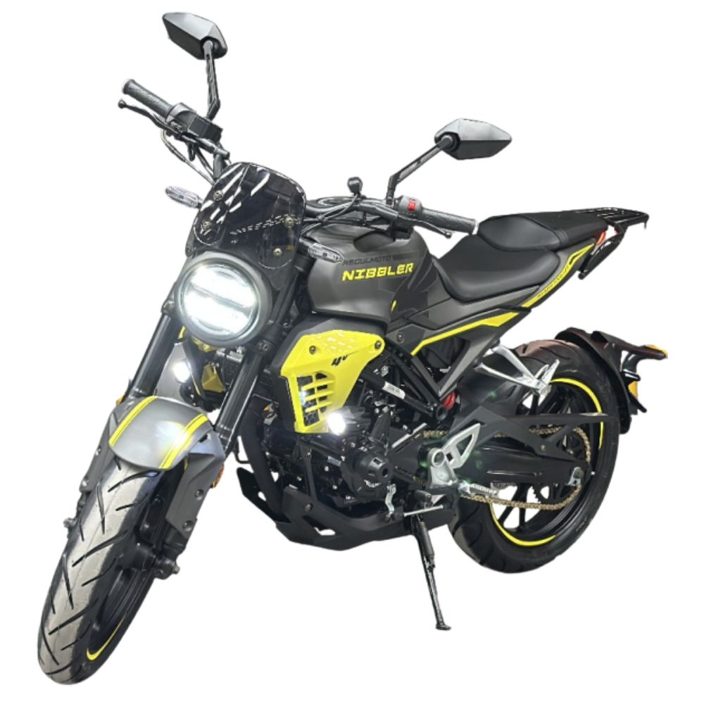 Мотоцикл Regulmoto Nibbler 300 — купить в Минске | ENDUROMOTO.BY